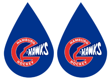 Hawks drop earrings