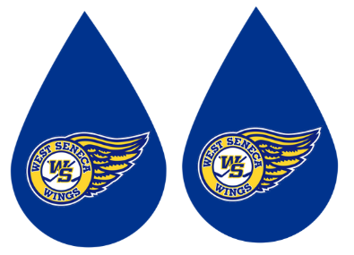 Wings drop earrings